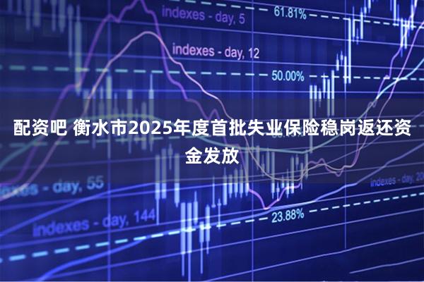 配资吧 衡水市2025年度首批失业保险稳岗返还资金发放