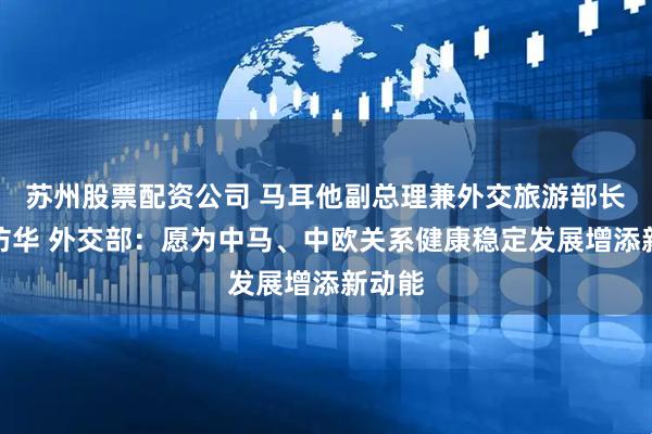苏州股票配资公司 马耳他副总理兼外交旅游部长博奇访华 外交部：愿为中马、中欧关系健康稳定发展增添新动能