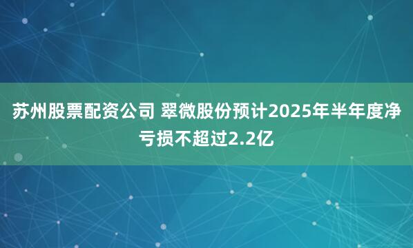 苏州股票配资公司 翠微股份预计2025年半年度净亏损不超过2.2亿