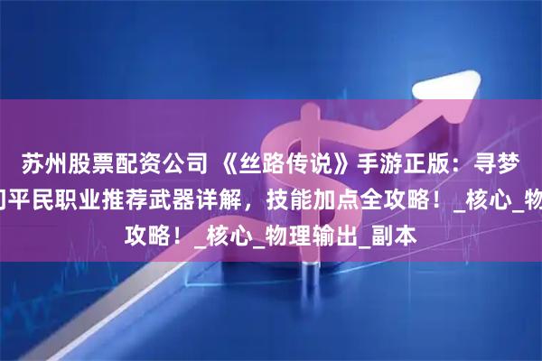 苏州股票配资公司 《丝路传说》手游正版：寻梦丝路新手入门平民职业推荐武器详解，技能加点全攻略！_核心_物理输出_副本