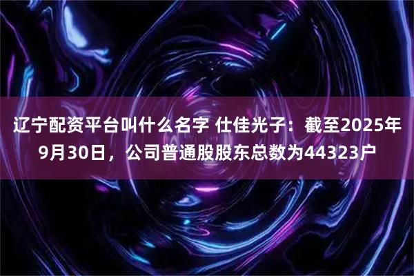 辽宁配资平台叫什么名字 仕佳光子：截至2025年9月30日，公司普通股股东总数为44323户